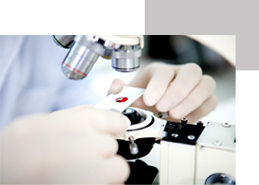 �λ縻 �̹���