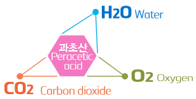 ������ ȿ��